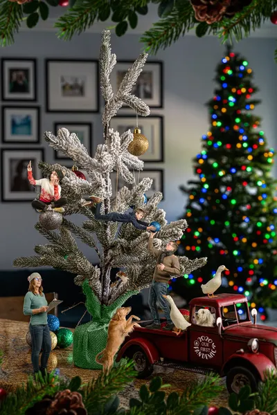 Futrell family holiday card 2015