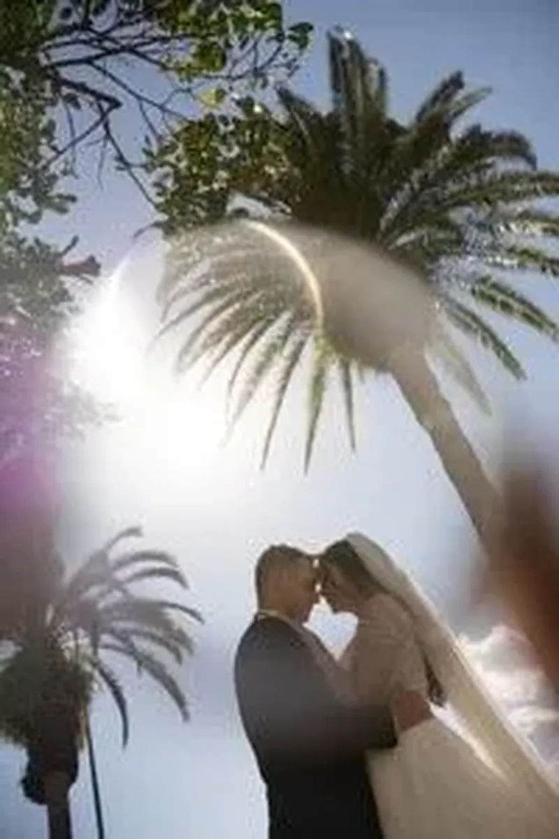 Couple kissing under palm trees with sun flare in St Augustine