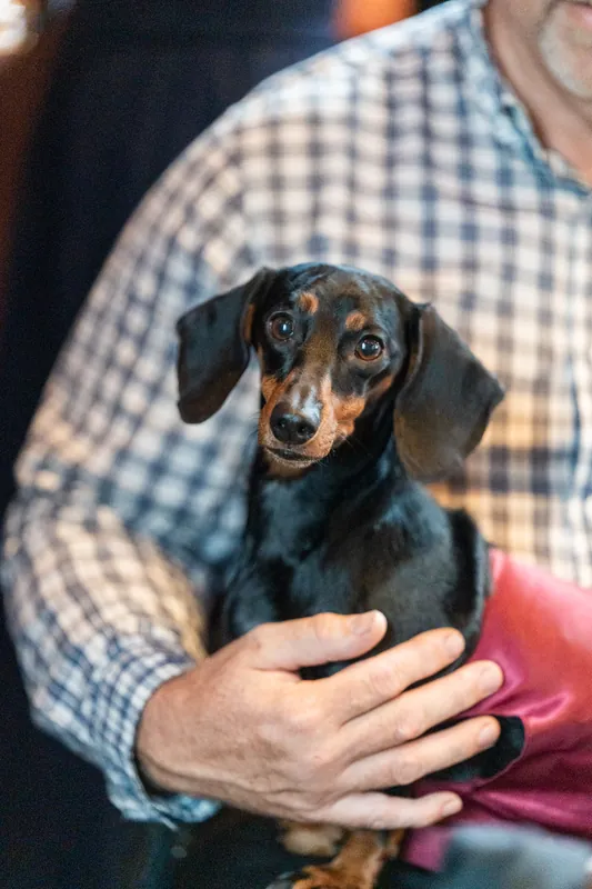 A man in a checkered shirt holds a black dachshund with tan markings while smiling at the camera.