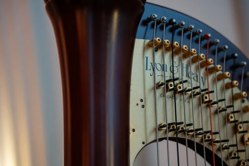 Close-up of a harp's wooden pedal and strung strings in soft focus, capturing the instrument's intricate details.