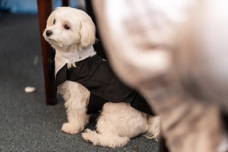 Photo from Amanda & Max