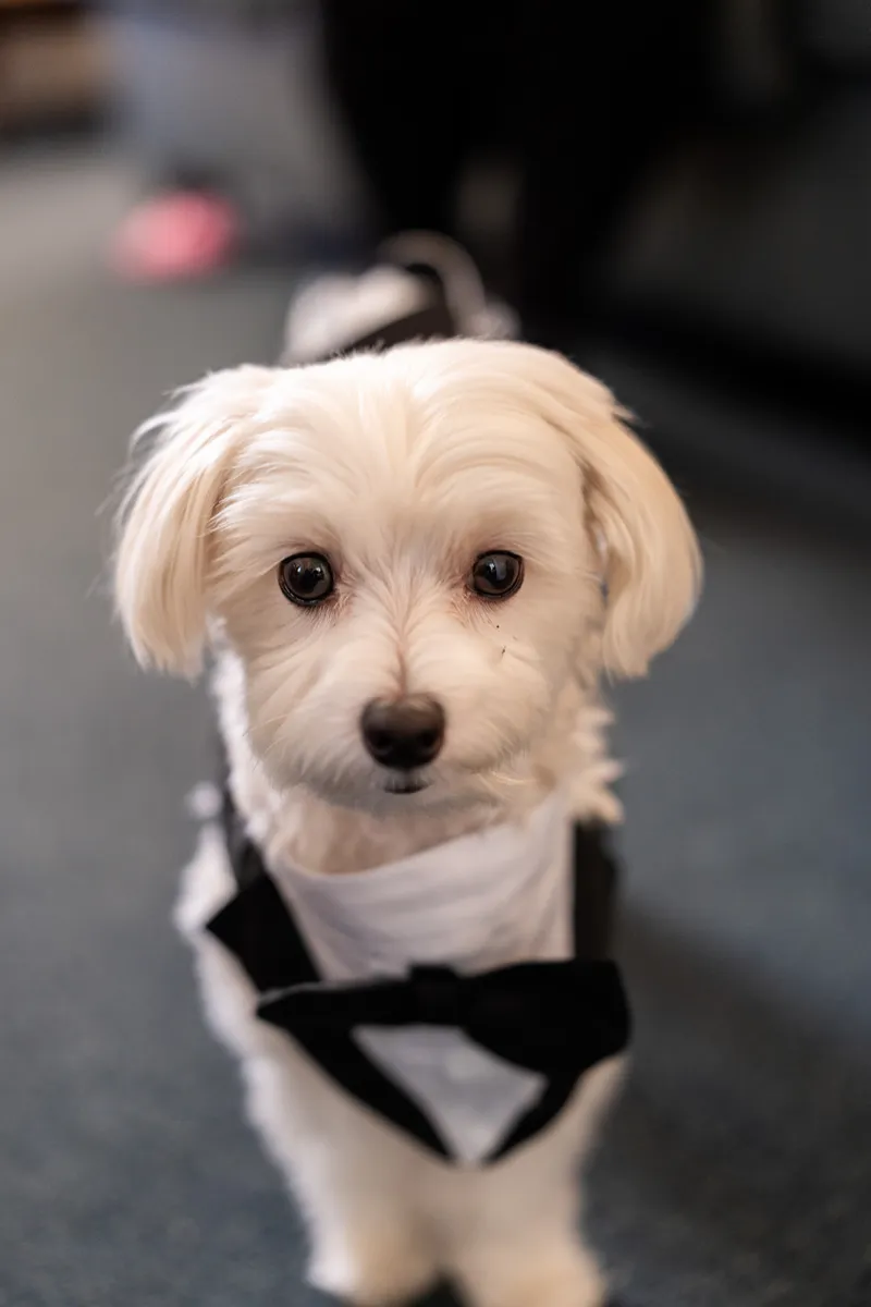 Photo from Amanda & Max