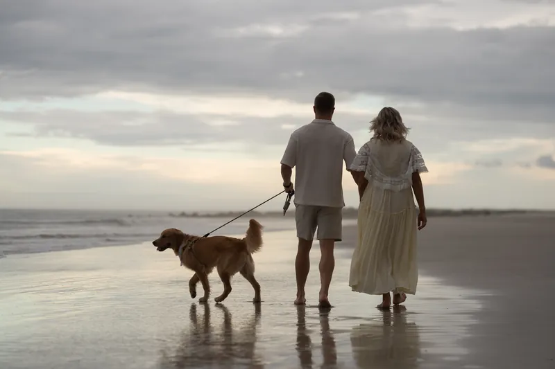 From behind, Ashley and Craig hold hands while walking in the shallow water with Butter trotting alongside them.