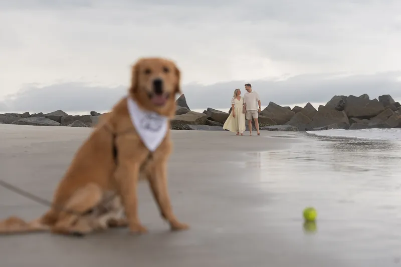 Butter poses in the foreground wearing a white bandana while Ashley and Craig embrace on the beach behind her.
