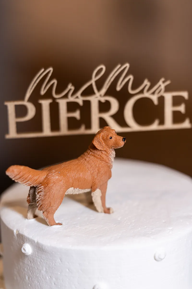 Photo from Ashley & Craig