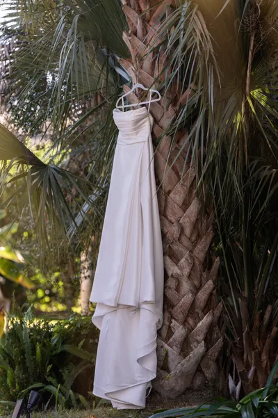 White wedding dress hanging on palm tree trunk in tropical garden setting
