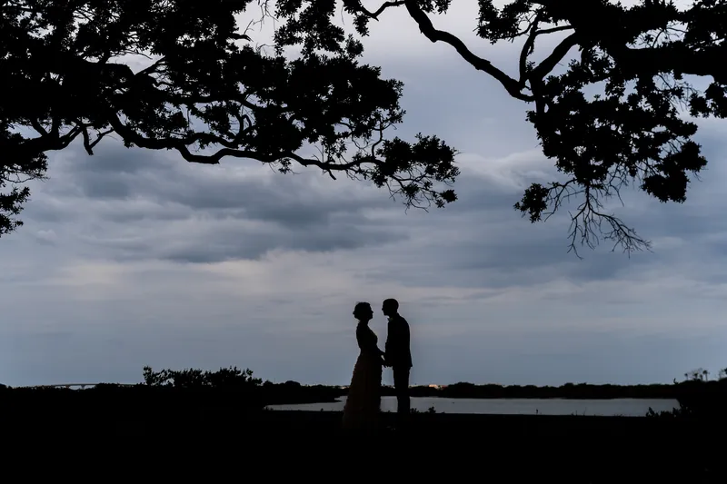 Silhouetted against an overcast sky and water, Dan and Bridgid stand beneath a gnarled tree branch at dusk.