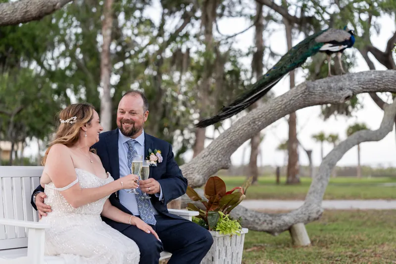 Von and Danielle sit on a bench beneath a sprawling tree branch, toasting with champagne glasses.