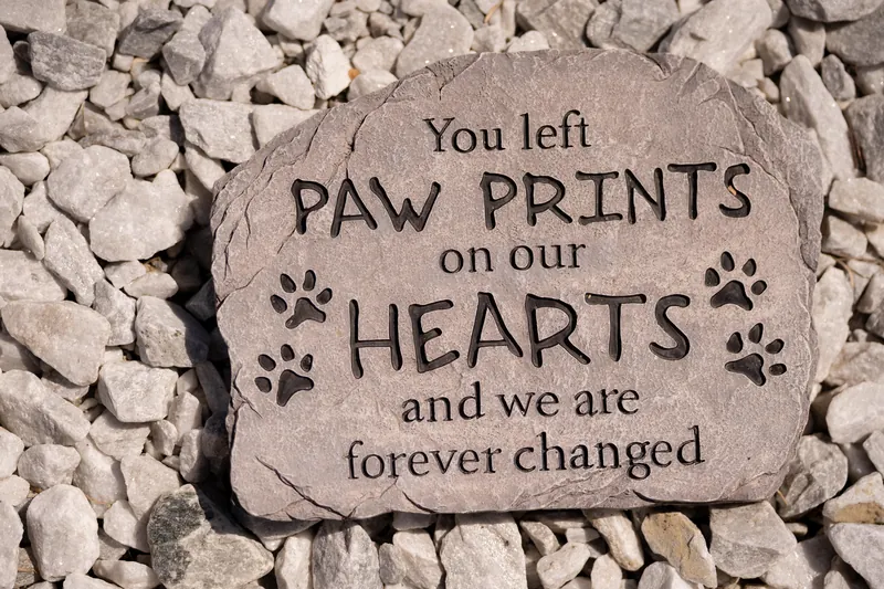 A memorial stone reads "You left PAW PRINTS on our HEARTS and we are forever changed" nestled in white pebbles.