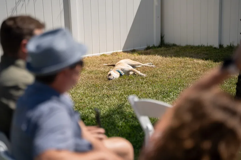 A dog lies on the grass while guests in the foreground watch the proceedings at the St. Augustine venue.