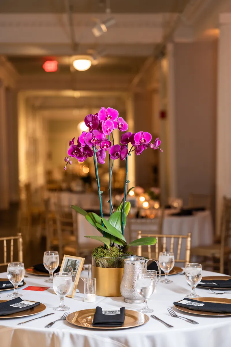 Purple orchid centerpiece in a gold pot on a reception table at the Lightner Museum