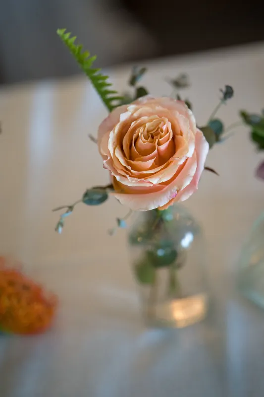 Peach rose with eucalyptus and seeded greenery in a clear glass vase on a white surface.