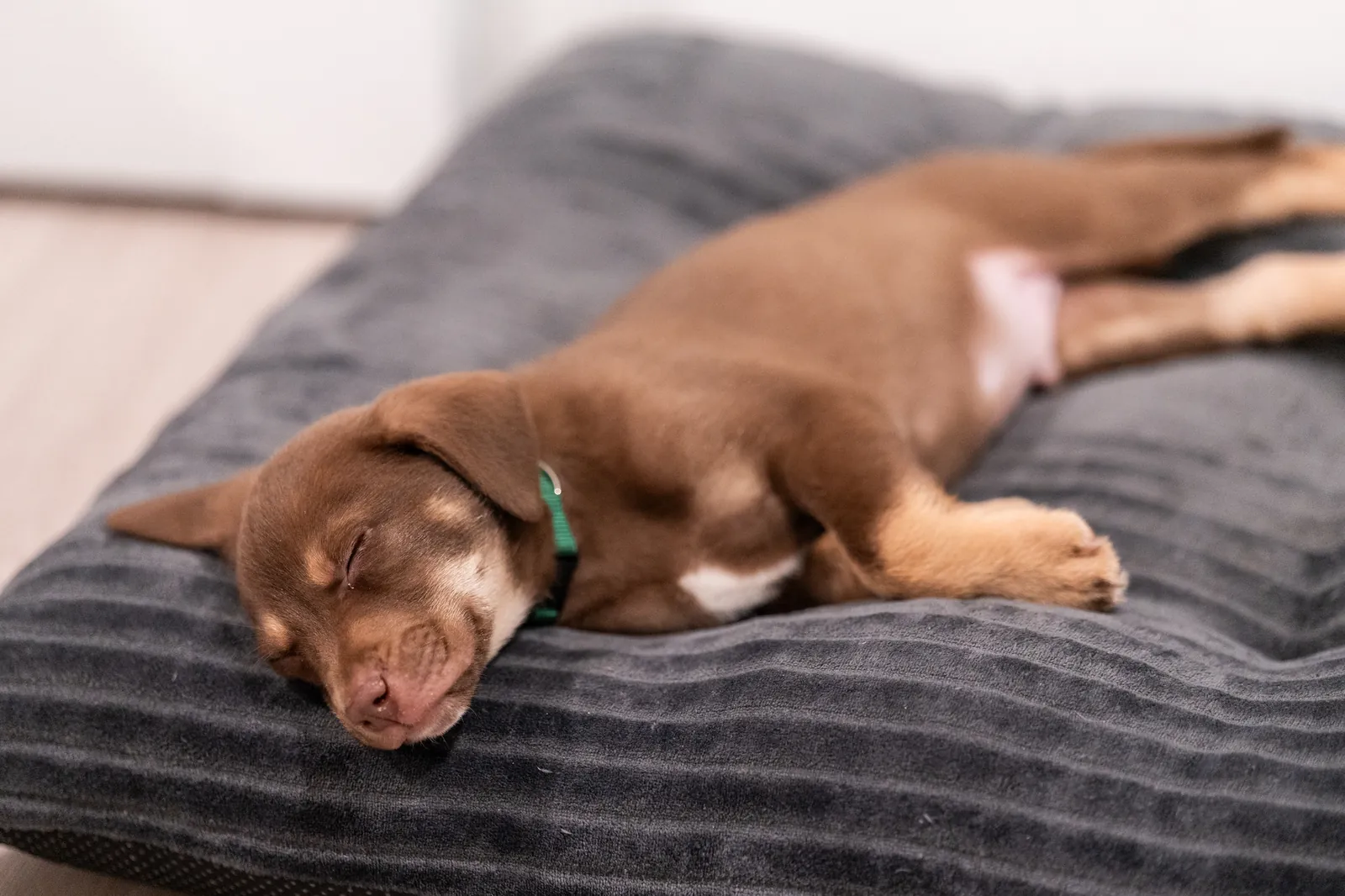 Bridal dress details at St Augustine wedding
