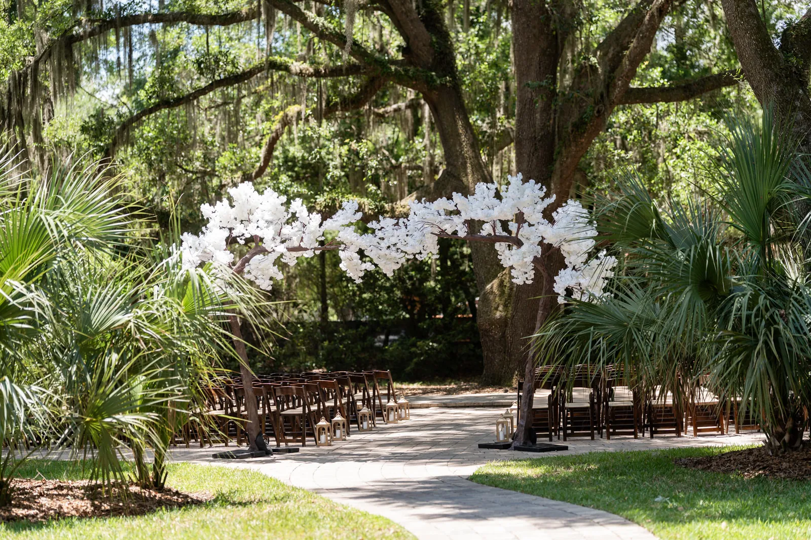 White flowering branches frame the ceremony aisle at Bowing Oaks, with rows of wooden chairs beneath moss-draped oak trees.
