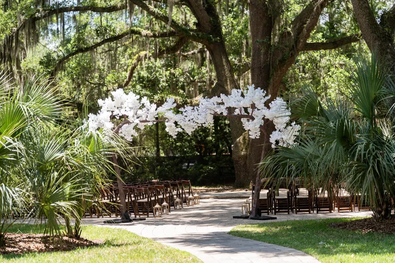 White flowering tree arches over wooden chairs lining an aisle at Boaring Oaks venue, with palm trees and Spanish moss framing the outdoor ceremony space.