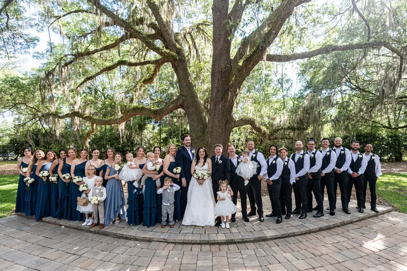 Wedding party of bridesmaids in navy dresses and groomsmen in dark suits line up beneath an ancient oak.