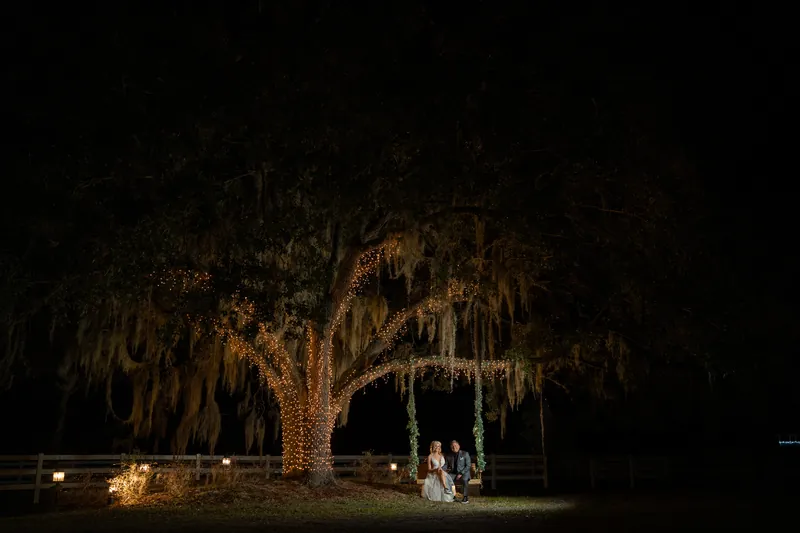 Hamilton and Michelle on swing under lit oak tree with Spanish moss