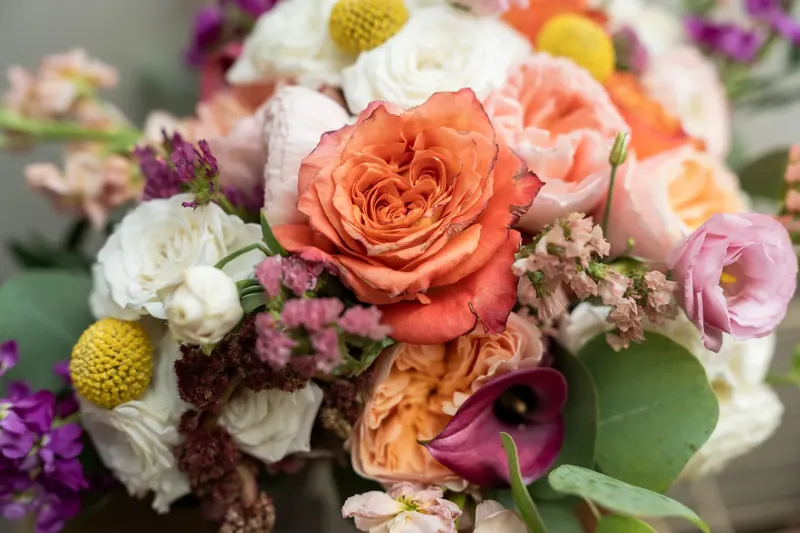 Bridal bouquet of coral roses, white ranunculus, purple dahlias, and yellow buttons with green foliage.