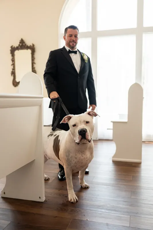 Russell leads a yellow Labrador down the polished wooden hallway, both framed by sunlit windows.