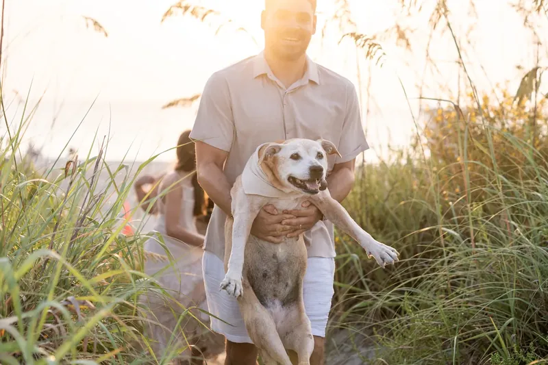 Person in a gray button-up shirt holding a tan and white dog while standing in tall dried grasses with warm backlighting.