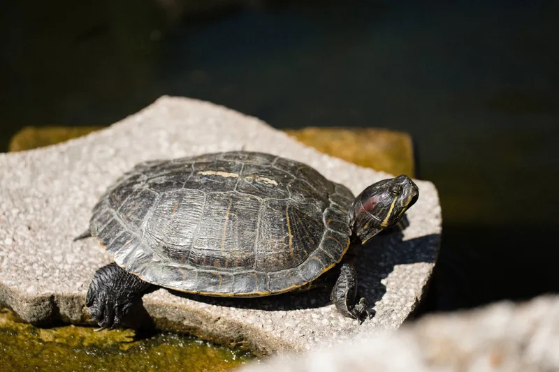 Photo from Kerry & Stephanie Wedding