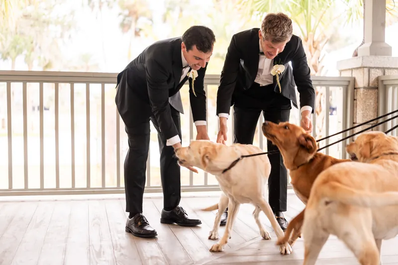 Both grooms greeting their three dogs on the venue porch