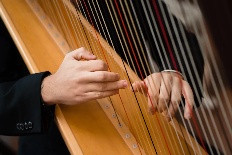 Hands position strings on a harp during a musical performance at the reception.