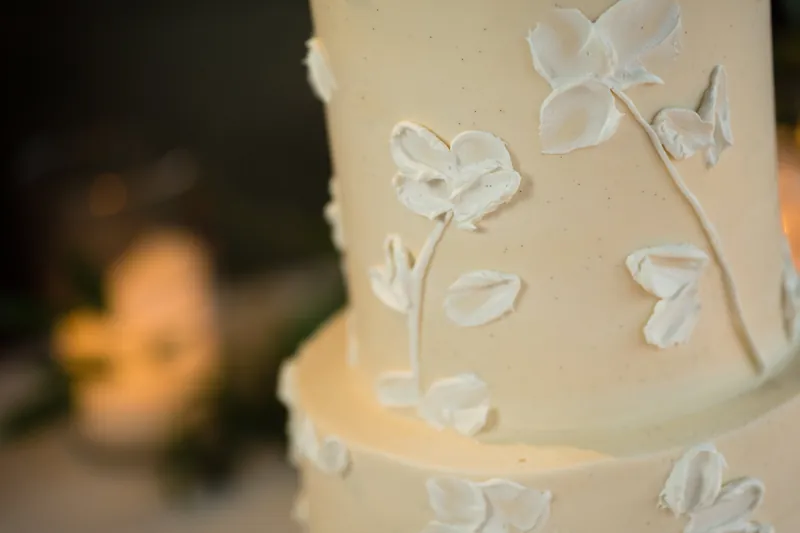 Close-up of cream-colored cake decorated with white raised botanical details and piped flowers.