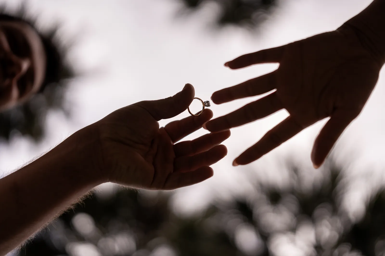 Metodija and Tiffany proposal photo