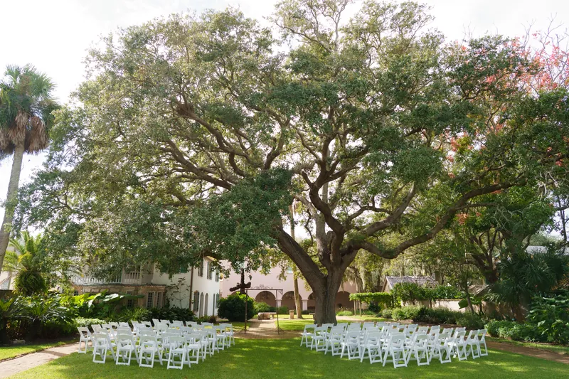 White chairs arranged in two sections face a sprawling live oak tree on manicured lawn.