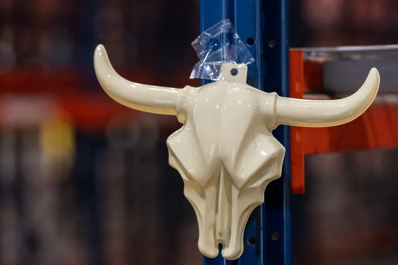A cream-colored longhorn skull ornament hangs from a blue post at the outdoor rodeo celebration in St. Augustine.