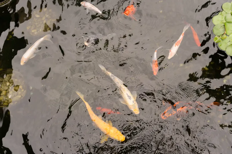 Photo from Sara & Ian Wedding