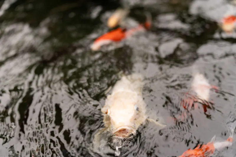 Photo from Sara & Ian Wedding