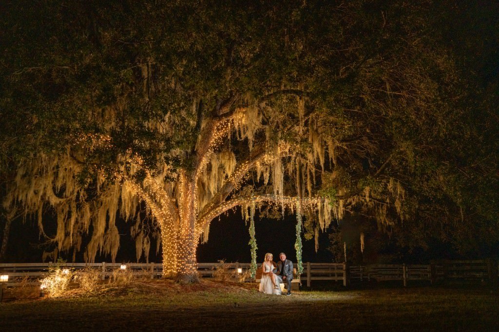 Enchanted evening under lit tree.jpg
