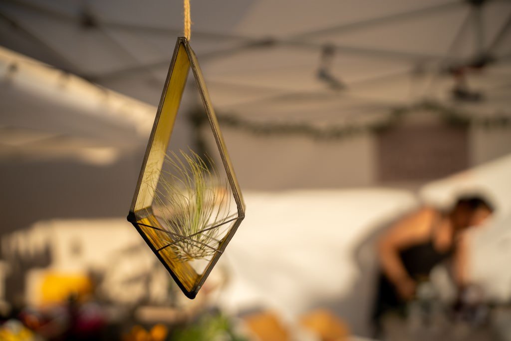 Glass terrarium at outdoor market.jpg